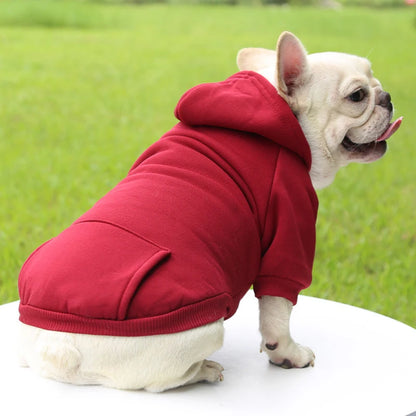 Fashionable Dog Clothing for Autumn & Winter