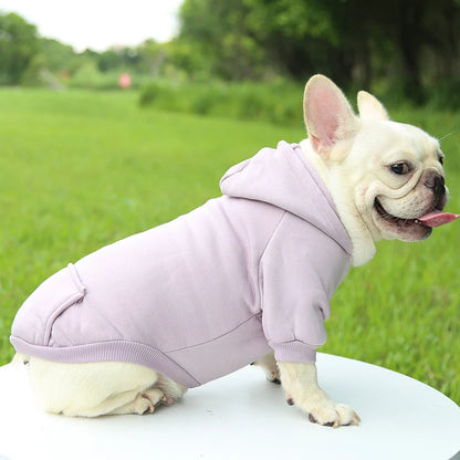 Fashionable Dog Clothing for Autumn & Winter