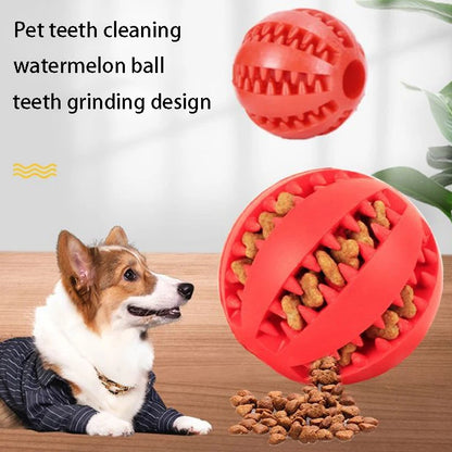 Dental Play Ball