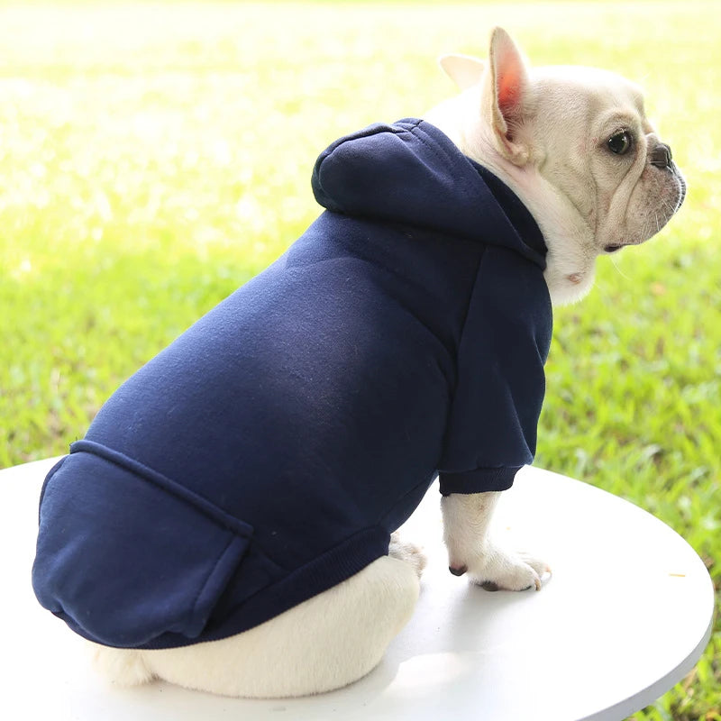 Fashionable Dog Clothing for Autumn & Winter