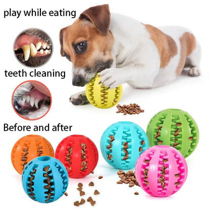 Dental Play Ball