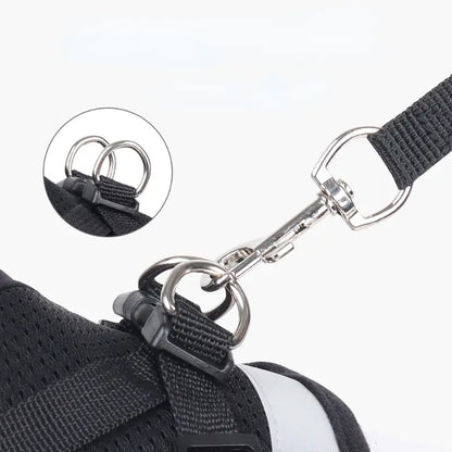 Reflective Mesh Dog Harness