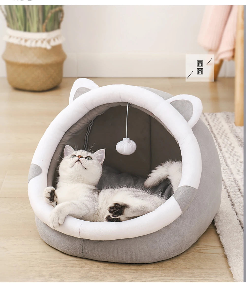 Cute Cat  Bed