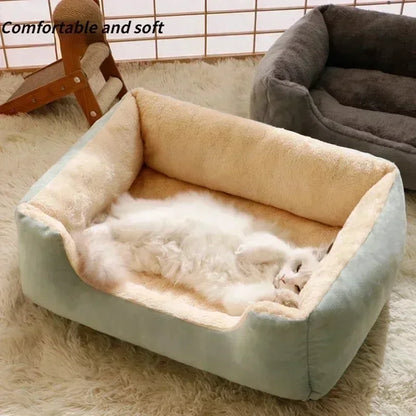 Cozy Pet Bed & Cushion