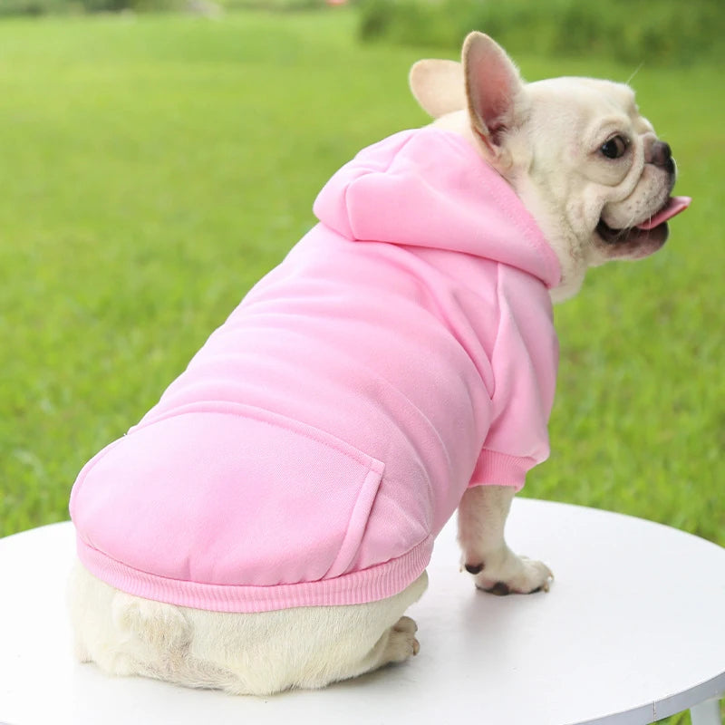 Fashionable Dog Clothing for Autumn & Winter