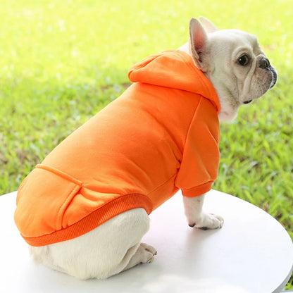 Fashionable Dog Clothing for Autumn & Winter