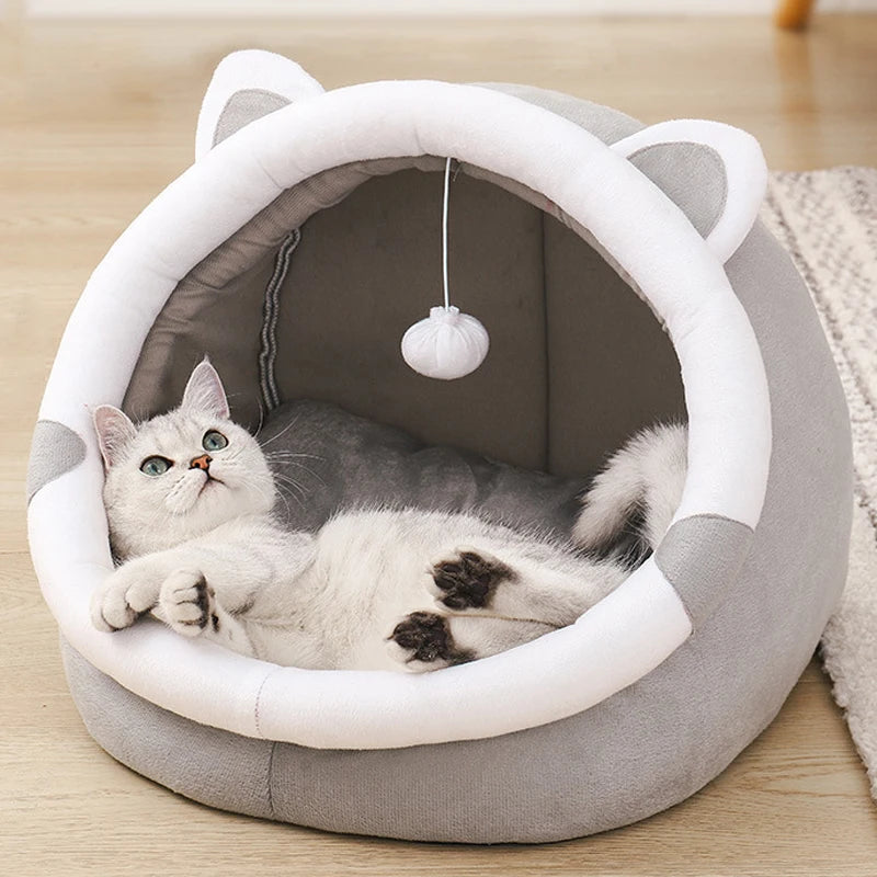 Cute Cat  Bed