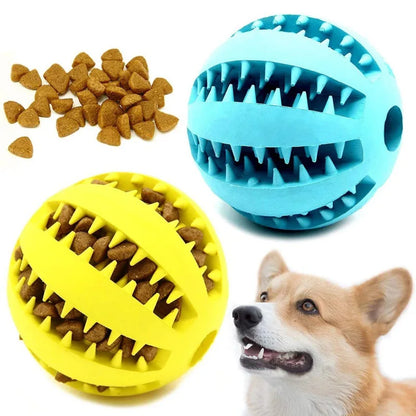 Dental Play Ball